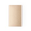 1993-023-P.jpg Power Bank Glird