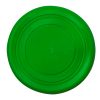 Frisbee Girud