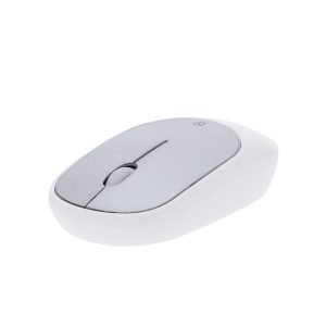 Rato Doryt RCS