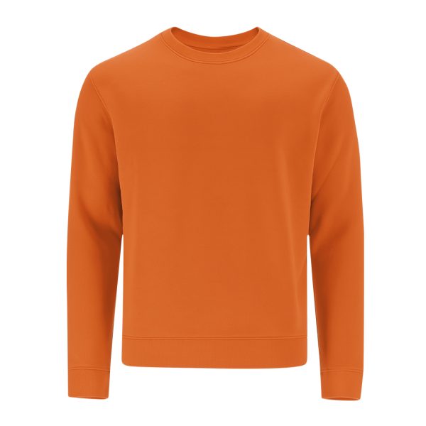 21951-007-P.jpg Sweatshirt Adulto Cosmos