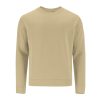 21951-015-P.jpg Sweatshirt Adulto Cosmos