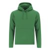 Sweatshirt Adulto Draco
