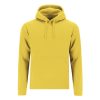 Sweatshirt Adulto Draco