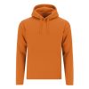 Sweatshirt Adulto Draco
