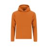 Sweatshirt Criança Draco