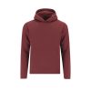 Sweatshirt Criança Draco