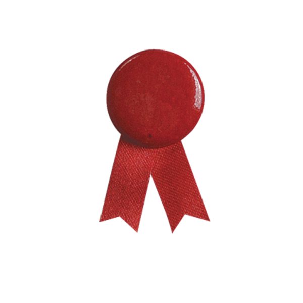 Pin Laço Solidario