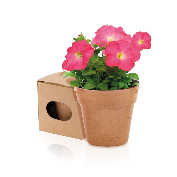 Vaso Advert