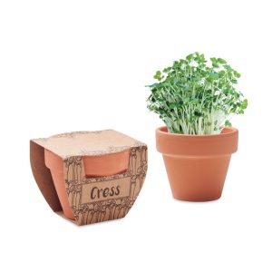 mo2219-40.jpg Sementes de agrião em vaso