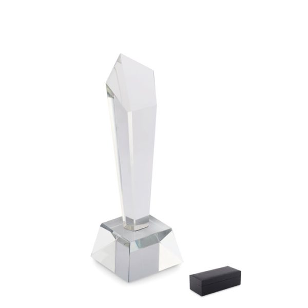 mo2236-22.jpg Troféu de cristal em caixa