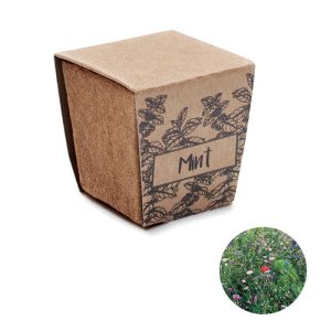 Kit cultivo semente de hortelã