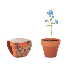 mo6146-40.jpg Vaso terracota 'miosótis'