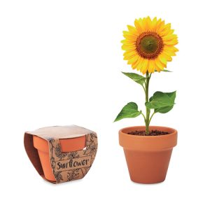 mo6147-40.jpg Vaso em terracota 'girassol'