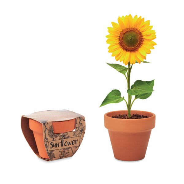 mo6147-40.jpg Vaso em terracota 'girassol'