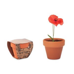 mo6148-40.jpg Vaso em terracota 'papoila'