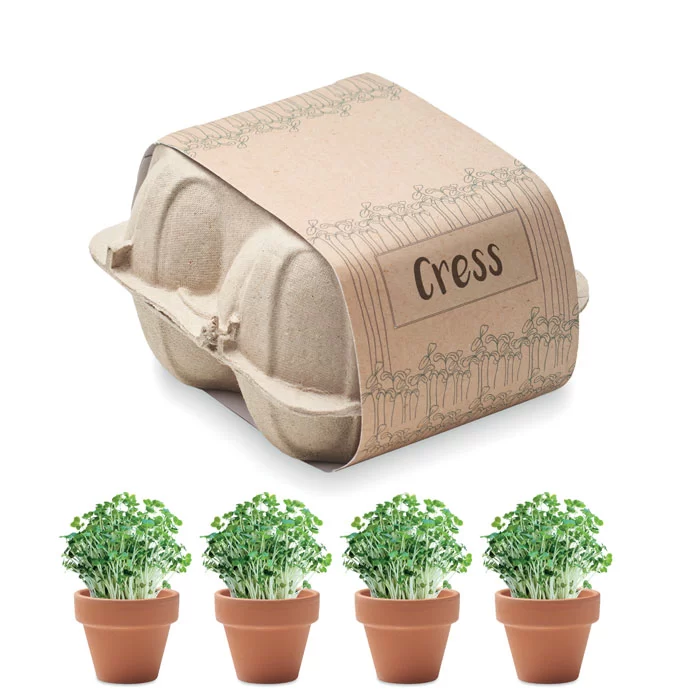 Kit de cultivo em caixa de ovo