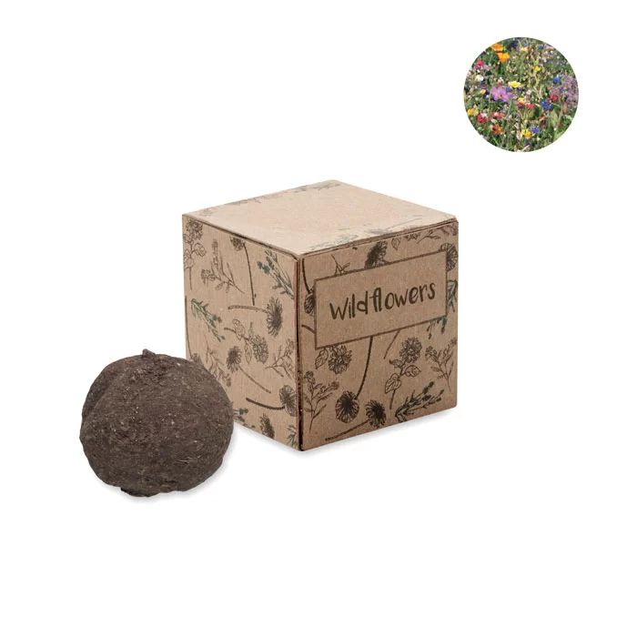 mo6908-13-1 Kit cultivo bombas de sementes