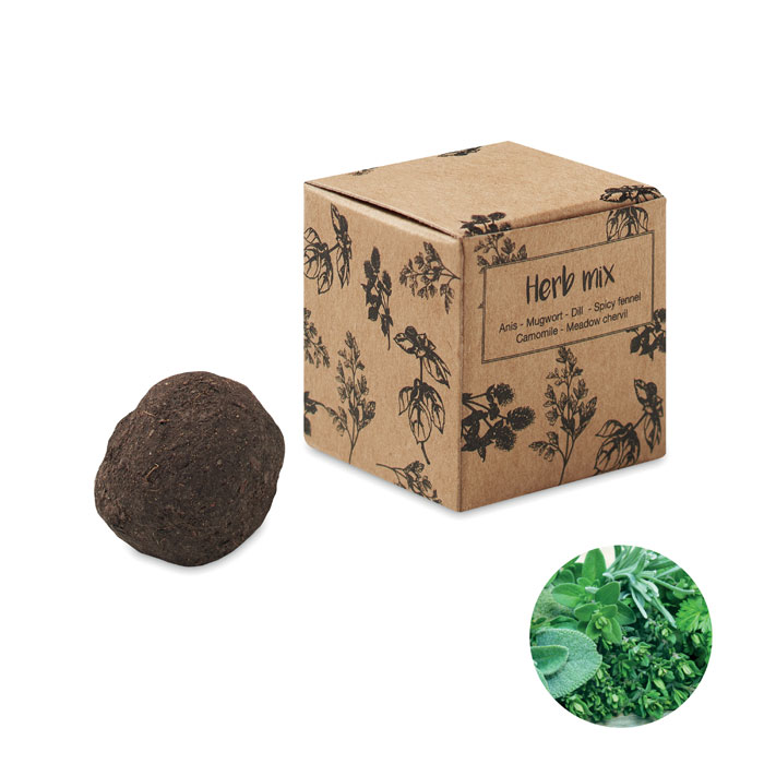 Kit de sementes de ervas