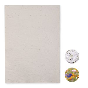 mo6914-06.jpg Papel sementes de flores A4
