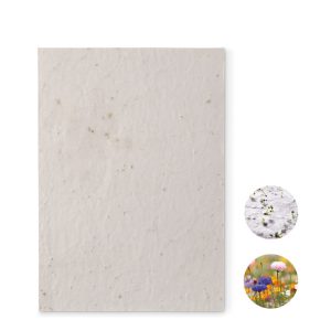 mo6915-06.jpg Papel sementes de flores A5