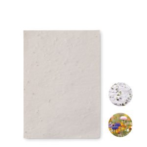 mo6916-06.jpg Papel sementes de flores A6