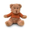Urso de peluche com t-shirt