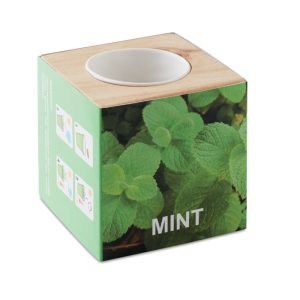 mo9337-40.jpg Porta sementes Menta