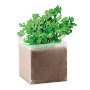 Composto sementes Salsa