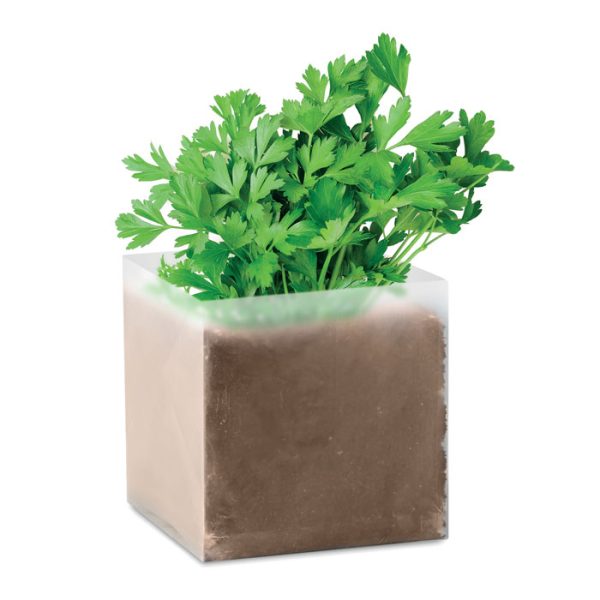 mo9547-13.jpg Composto sementes Salsa