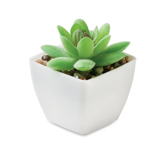 mo2854-06.webp Mini planta artificial